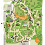 Printable Detroit Zoo Map Printable Maps