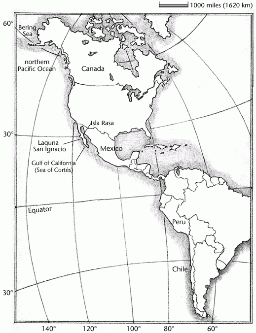 34 Blank Map Of Western Hemisphere Maps Database Source