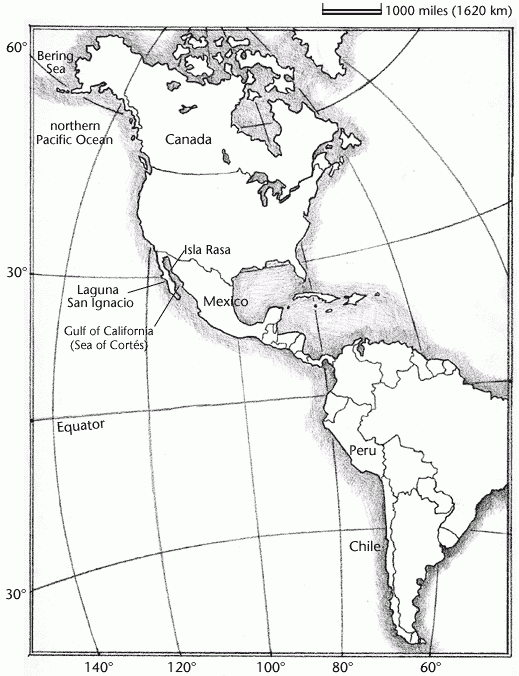 34 Blank Map Of Western Hemisphere Maps Database Source 34 Blank Map Of Western Hemisphere Maps Database Source