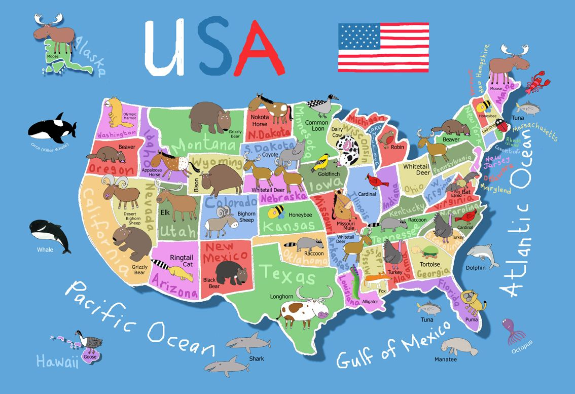 50 States Usa Map United States Map Colorful Map