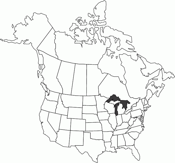 Abcteach Printable Worksheet USA And Canada Outline Map Abcteach Printable Worksheet USA And Canada Outline Map