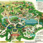 Animal Kingdom Map Disney World Trip Animal Kingdom