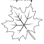 Free Printable Large Leaf Templates Stencils And Patterns