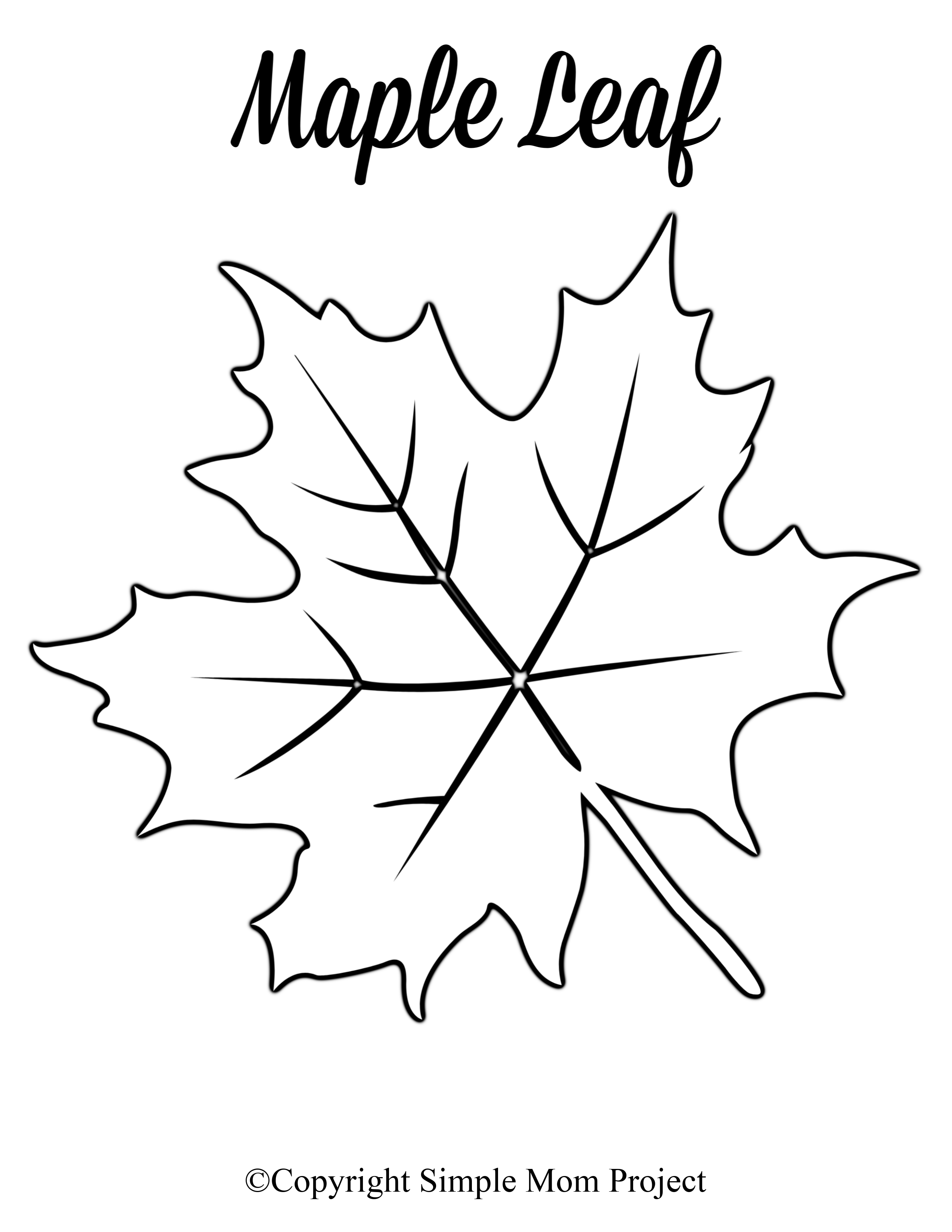 Free Printable Large Leaf Templates Stencils And Patterns 
