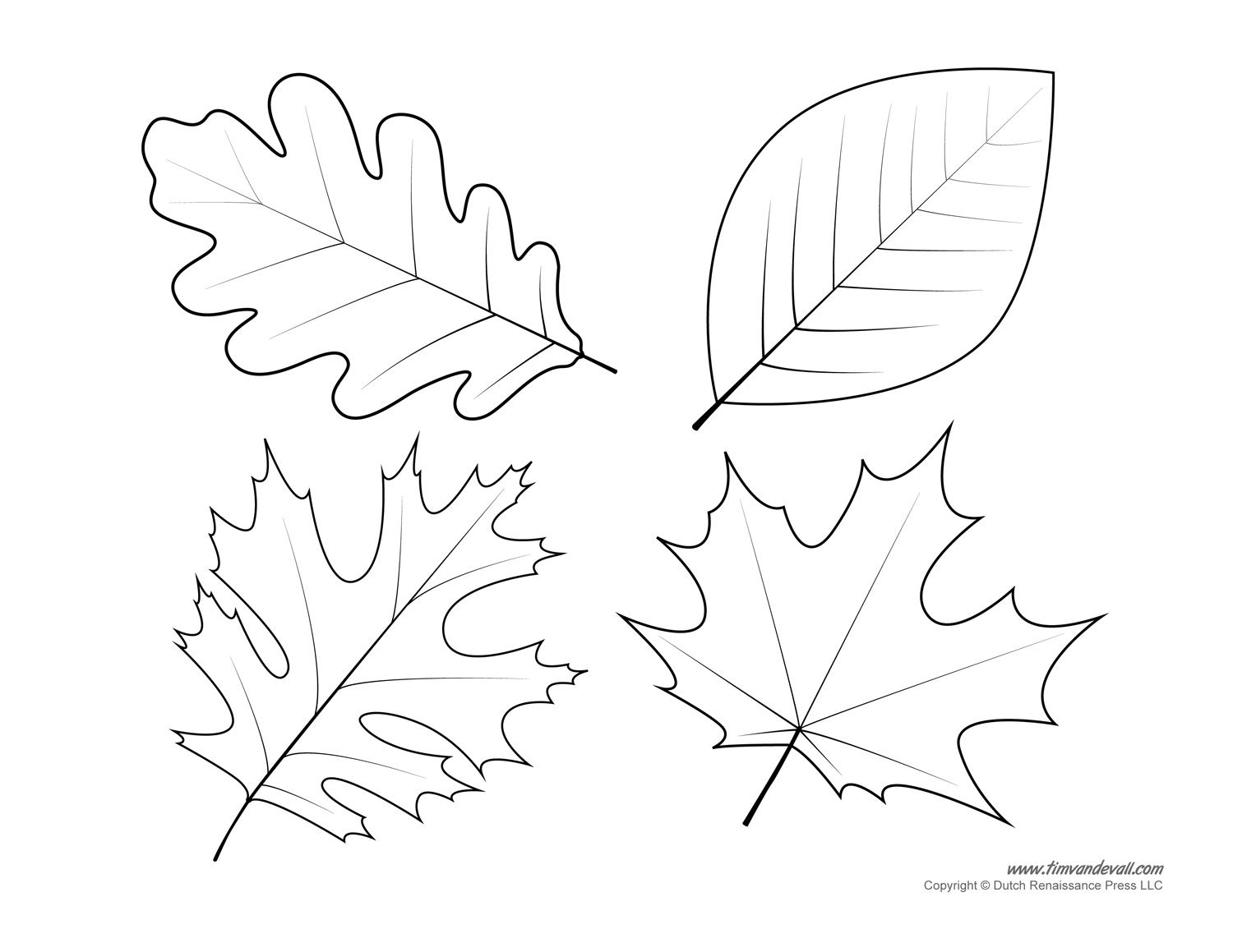 Leaf Templates Leaf Coloring Pages For Kids Leaf 