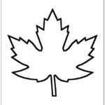 Maple Leaf Template More Than 20 Free Printable Fall