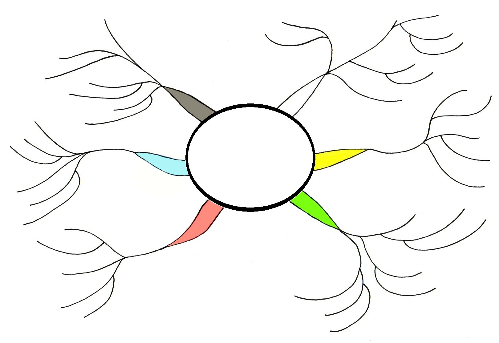 Templates Mind Map Www mindmaps moonfruit