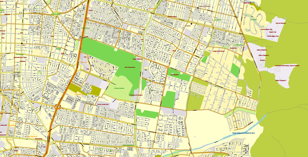City Map Santiago Chile Vector Urban Plan Adobe 