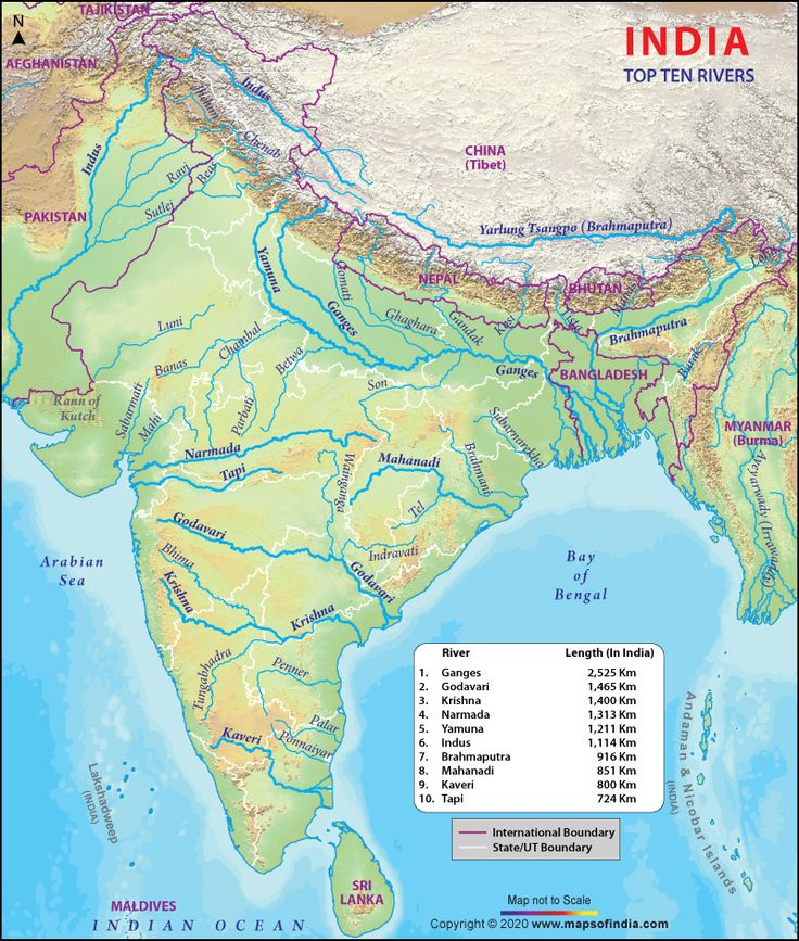 Find Here The List Of Top 10 Rivers In India By Length In 