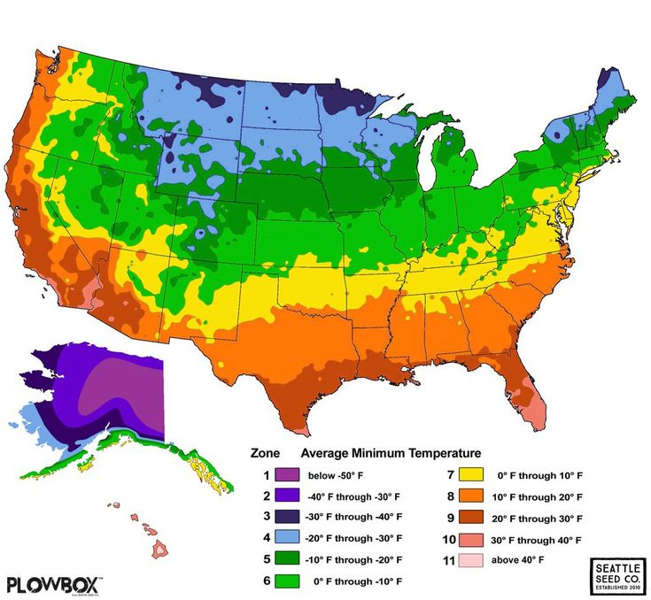 Hardiness Zones And Succulents Planting Zones Map