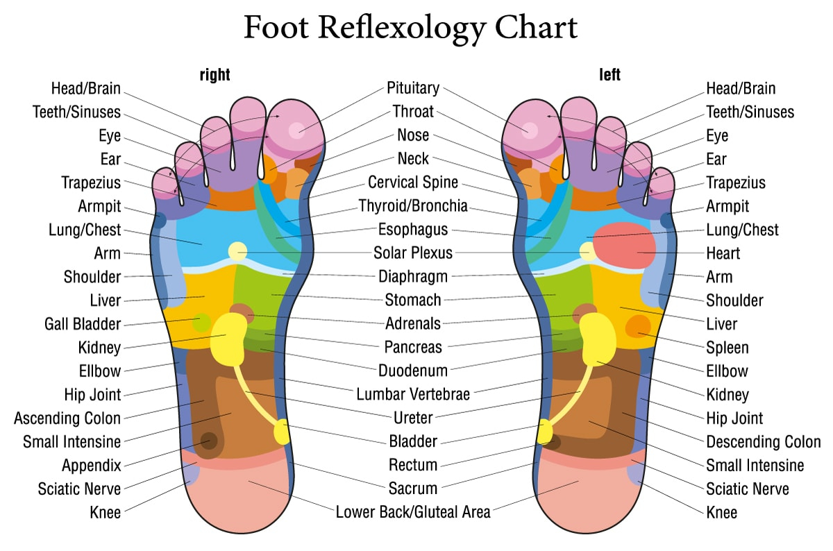 Simple Reflexology Foot Map Derval Ingleton