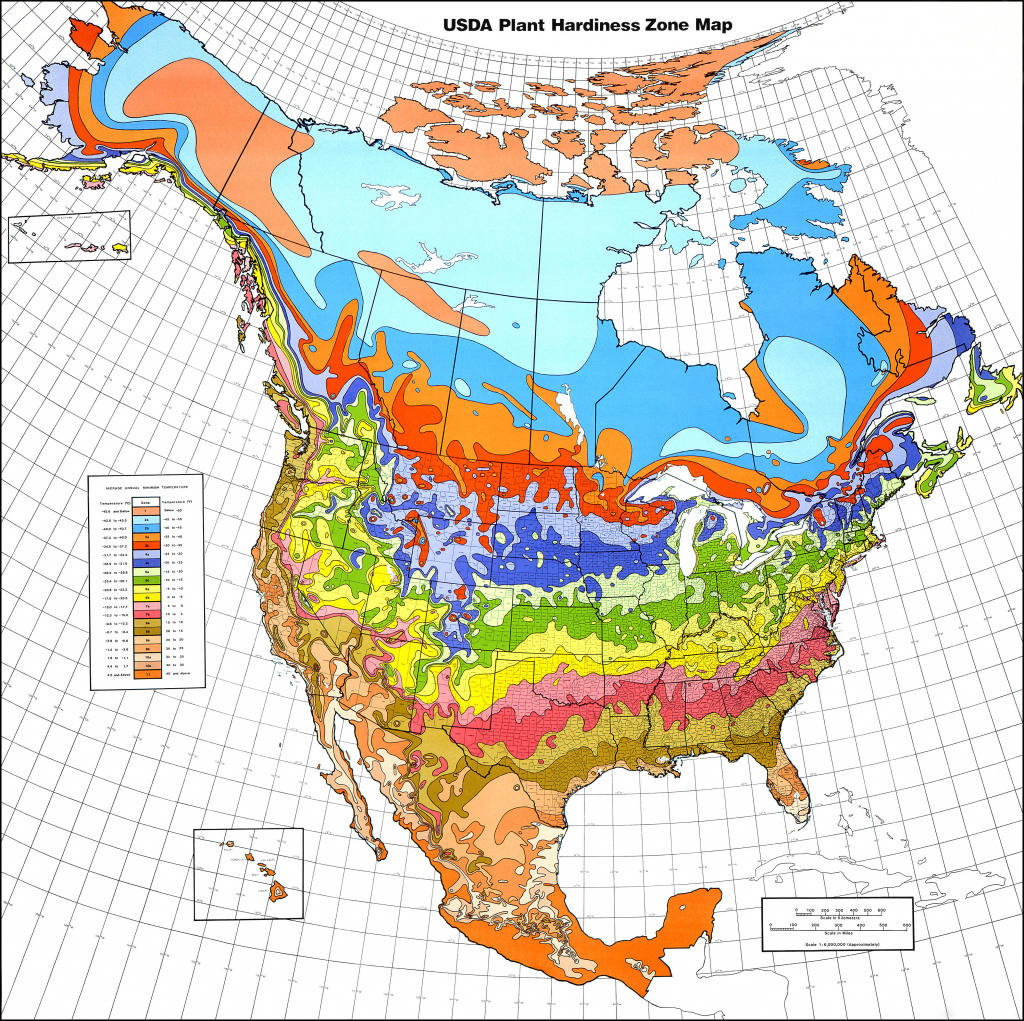 Printable Usda Hardiness Zone Map Printable Maps