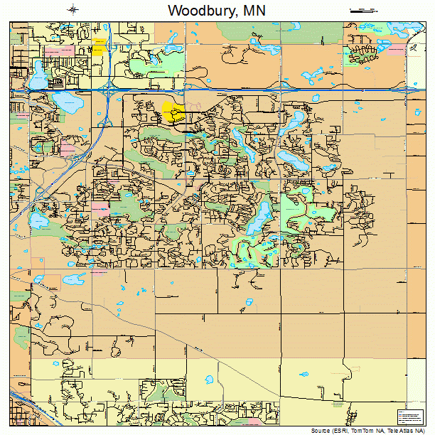 Woodbury Minnesota Street Map 2771428